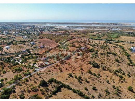 Olhão, Distrito de Faroの土地