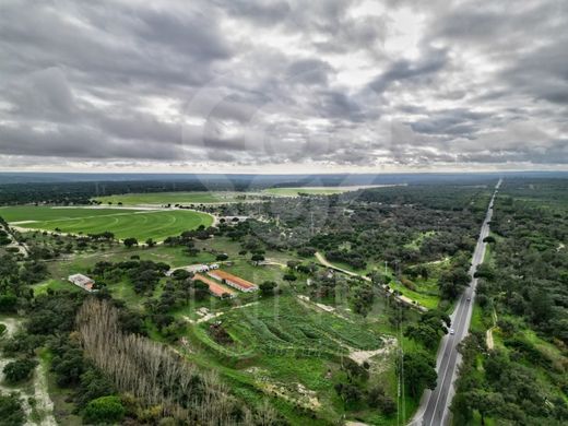 Land in Alcácer do Sal, Distrito de Setúbal