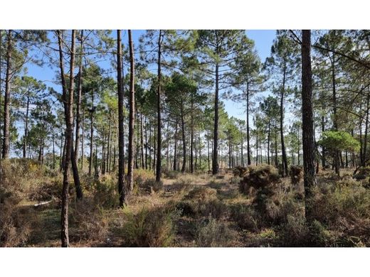 Участок, Comporta, Alcácer do Sal