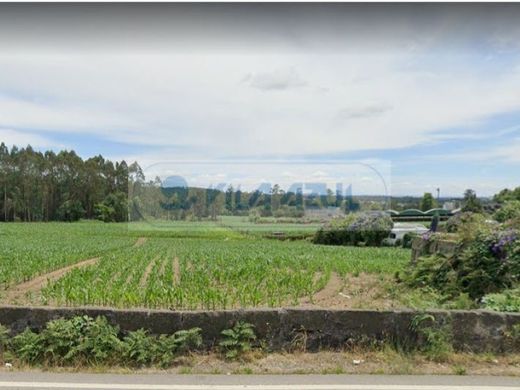 토지 / Maia, Distrito do Porto