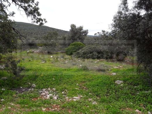 Land in Loulé, Distrito de Faro