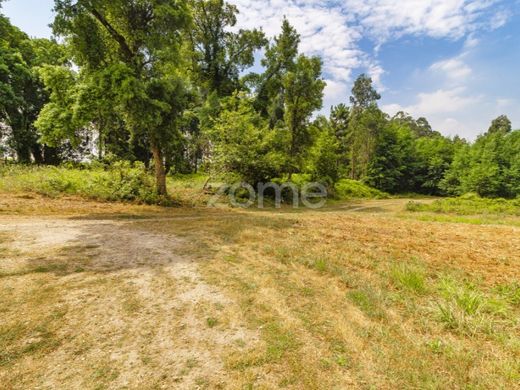 Участок, Santo Tirso, Distrito do Porto