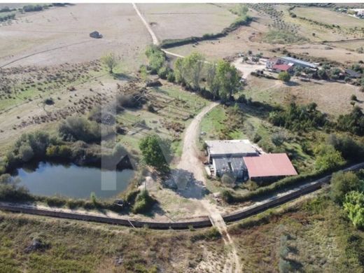 Luxury home for sale in Idanha-a-Nova