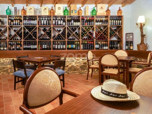 호화 저택 / Bragança, Distrito de Bragança