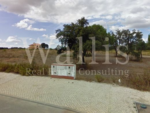 أرض ﻓﻲ Benavente, Distrito de Santarém