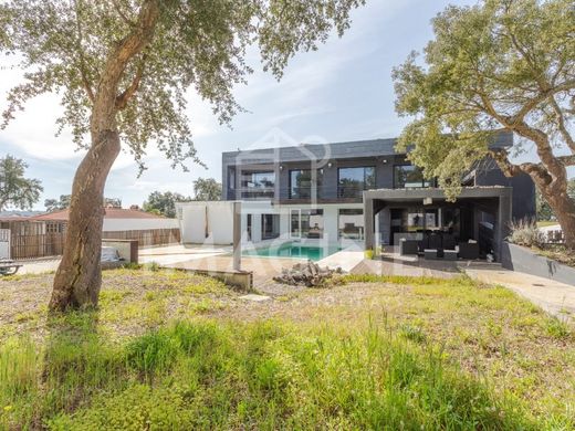 Maison de luxe à Palmela, Distrito de Setúbal