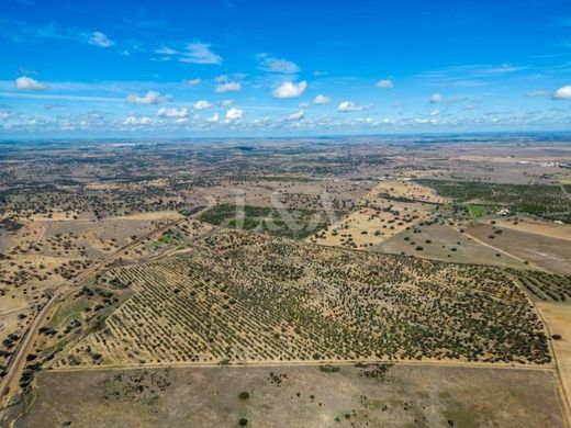 Φάρμα σε Almodôvar, Distrito de Beja