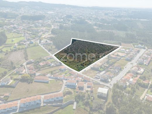 Arsa Oliveira de Azeméis, Distrito de Aveiro