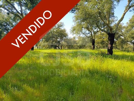 Land in Benavente, Distrito de Santarém