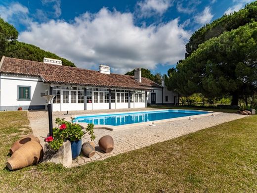 Fattoria a Alcácer do Sal, Distrito de Setúbal