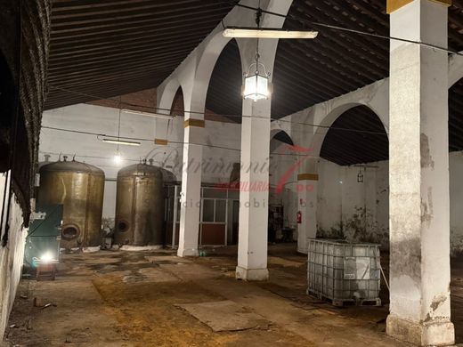 Πολυτελή κατοικία σε Jerez de la Frontera, Provincia de Cádiz