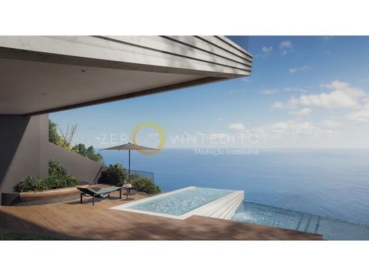 Maison individuelle à Funchal, Madère