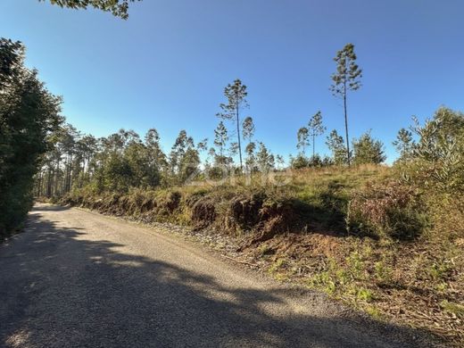 Land in Santa Maria da Feira, Aveiro
