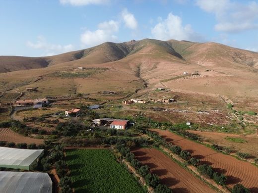 Landhaus / Bauernhof in Pájara, Provinz Las Palmas