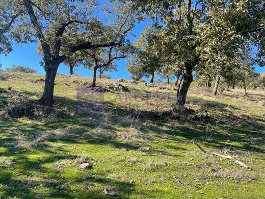 Boerderij in Jaraicejo, Provincia de Cáceres