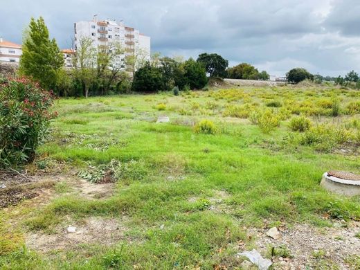 Arsa Caldas da Rainha, Distrito de Leiria