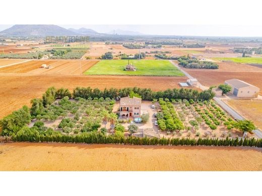 Villa a sa Pobla, Isole Baleari