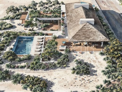 Terreno a Comporta, Alcácer do Sal