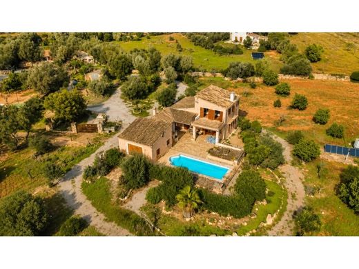 Villa in ses Salines, Province of Balearic Islands