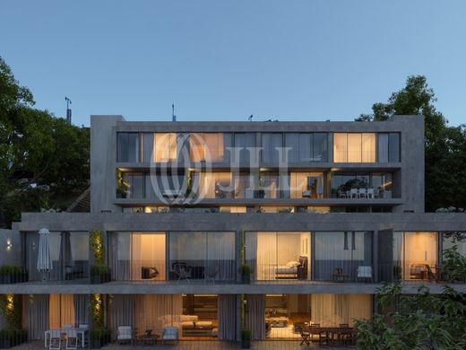 Daire Porto, Distrito do Porto