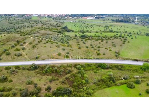 Arsa Torres Novas, Distrito de Santarém