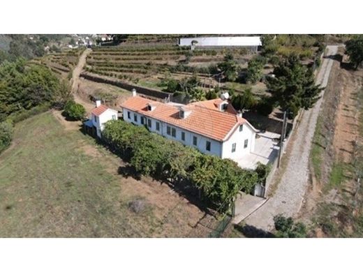 Luxury home in Baião, Distrito do Porto