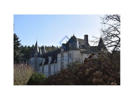 Castello a Rennes, Ille-et-Vilaine