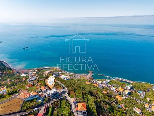 منزل ﻓﻲ Ponta do Sol, Madeira