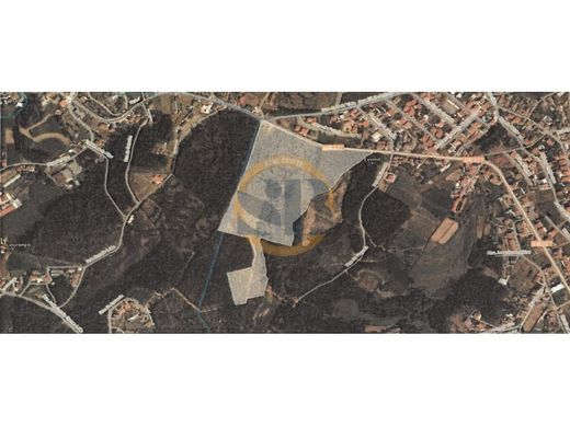 Arsa Oliveira de Azeméis, Distrito de Aveiro