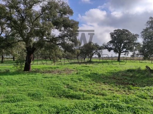 Αγροτεμάχιο σε Palmela, Distrito de Setúbal