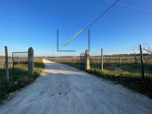 Αγροτεμάχιο σε Palmela, Distrito de Setúbal