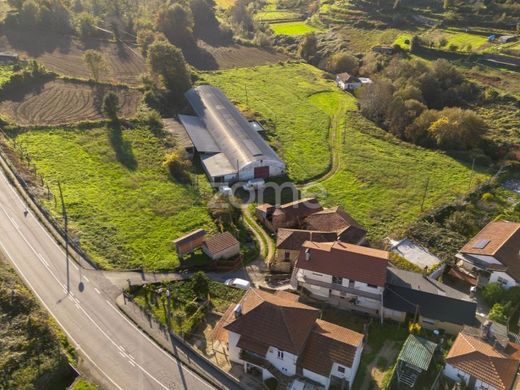 Αγροτεμάχιο σε Vale de Cambra, Distrito de Aveiro