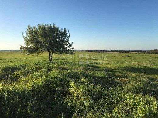 Grond in Odemira, Distrito de Beja