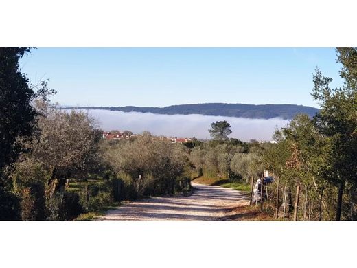Land in Borba, Distrito de Évora