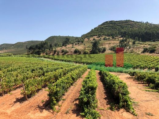 Αγροτεμάχιο σε Azambuja, Distrito de Lisboa