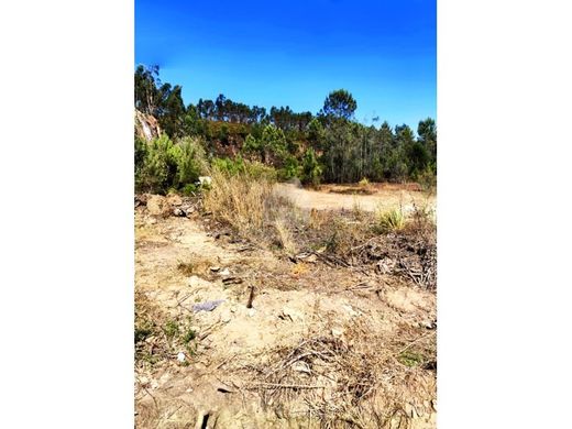 地皮  Paredes, Distrito do Porto