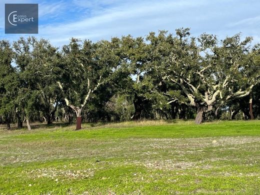 ﻣﻨﺰﻝ ﺭﻳﻔﻲ/ ﺑﻴﺖ ﻤﺰﺭﻋﺔ ﻓﻲ Grândola, Distrito de Setúbal