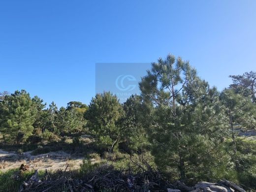 Land in Alcácer do Sal, Distrito de Setúbal