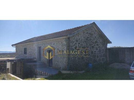 Baião, Distrito do Portoの高級住宅