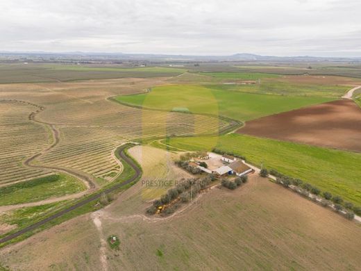 Land in Elvas, Distrito de Portalegre