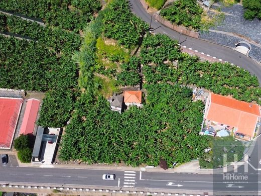 Ponta do Sol, Madeiraの土地