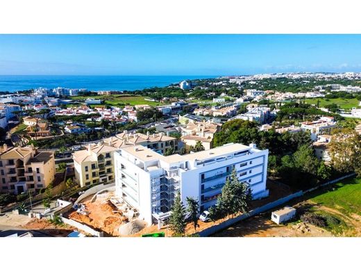 Daire Albufeira, Distrito de Faro