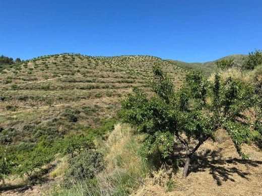 ‏קרקע ב  Mêda, Distrito da Guarda