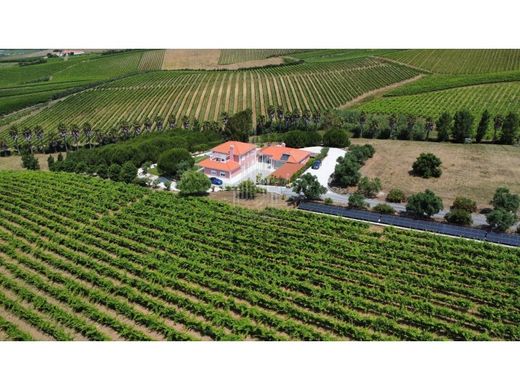 Luxury home in Torres Vedras, Lisbon