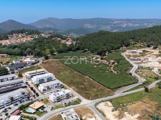 Land in Castelo de Paiva, Aveiro