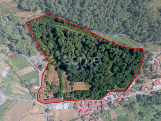 Castro Daire, Distrito de Viseuの邸宅