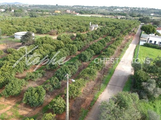 Land in Loulé, Distrito de Faro