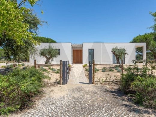 Luxury home in Benavente, Distrito de Santarém