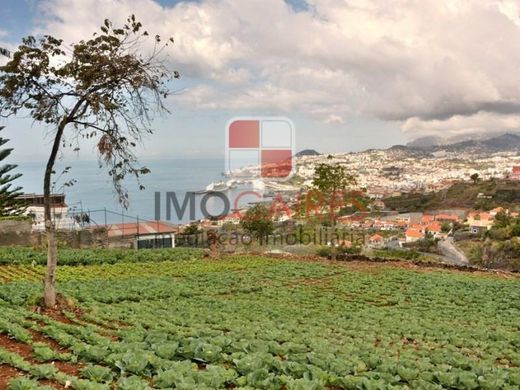 Αγροτεμάχιο σε Φουντσάλ, Funchal
