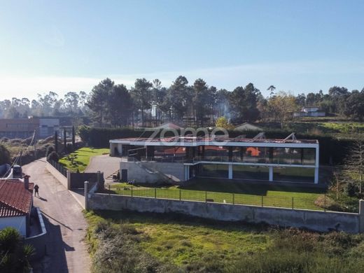 Lüks ev Vila Verde, Distrito de Braga